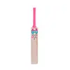 HOUND DM Bravo English Willow Cricket Bat Back Side