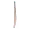 Hound Pro-Grade English Willow Cricket Bat Side