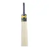 HOUND DJ Bravo English Willow Cricket bat Front