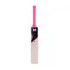 HOUND English Willow 161 Notout Cricket bat Front