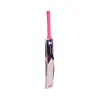 HOUND English Willow 161 Notout Cricket bat Tilted