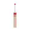 HOUND Canadian Willow DJ Bravo Cricket bat Side