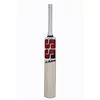 SS Master Kashmir Willow Cricket Bat front