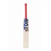 SS Ton Reserve Edition Kashmir Willow Cricket Bat front