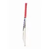 SS Ton Reserve Edition Kashmir Willow Cricket Bat side
