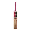 SS Gladiator Kashmir Willow Cricket Bat back