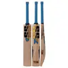 SS Custom Junior English Willow Cricket Bat