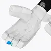 DSC Cynos 2020 Cricket Batting Gloves Tilted