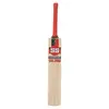 SS VA 900 Emerald Kashmir Willow Cricket Bat front