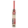 SS VA 900 Emerald Kashmir Willow Cricket Bat back