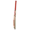 SS VA 900 Emerald Kashmir Willow Cricket Bat side
