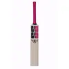 SS Gladiator JUNIOR English Willow Cricket Bat front