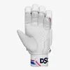 DSC Intense Frost Cricket Batting Gloves Rear