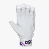 DSC Intense Passion Cricket Batting Gloves Rear