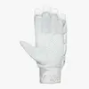 DSC Krunch 1.0 Cricket Batting Gloves Rear