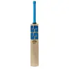 SS Vintage Bolt Kashmir Willow Cricket Bat  front