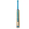 SS Vintage Bolt Kashmir Willow Cricket Bat back