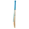 SS Vintage Bolt Kashmir Willow Cricket Bat side