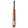 SS Vintage Platinum Kashmir Willow Cricket Bat back