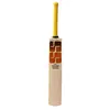 SS Vintage Rapier Kashmir Willow Cricket Bat front
