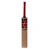 SS Master 9000 English Willow Cricket Bat front