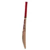SS Master 9000 English Willow Cricket Bat side
