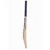 SS SKY Player Junior English Willow Cricket Bat