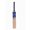 SS SKY Player Kashmir Willow Cricket Bat front