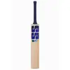 SS Sky Flicker junior English Willow Cricket Bat front