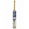 SS SkyThunder Kashmir Willow Bat back