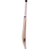 SS Ton Special Edition English Willow Cricket Bat