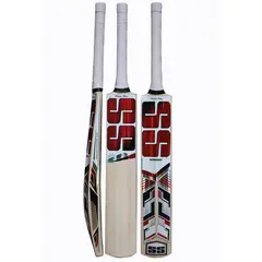 SS Master Kashmir Willow Cricket Bat