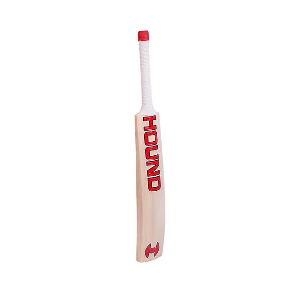 HOUND Canadian Willow DJ Bravo Cricket bat Tilted