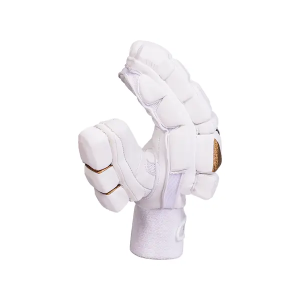 Hound Legacy Cricket Batting Gloves Side