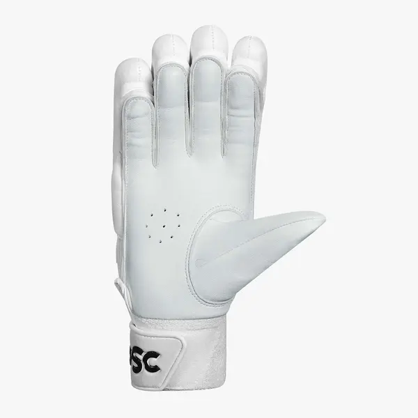 DSC Bull 31 Cricket Batting Gloves Rear
