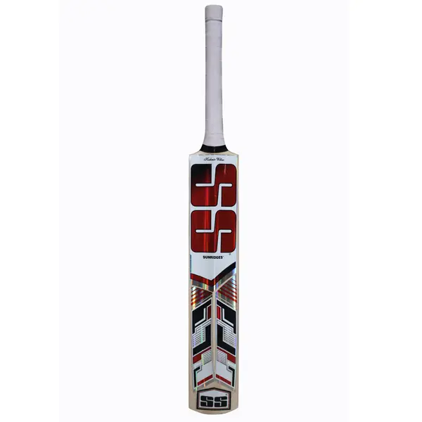 SS Master Kashmir Willow Cricket Bat back
