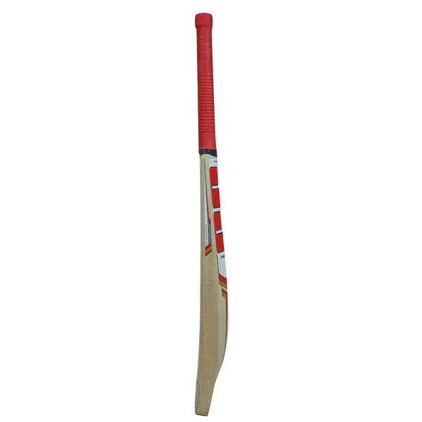 SS Sky Super Kashmir Willow Cricket Bat side