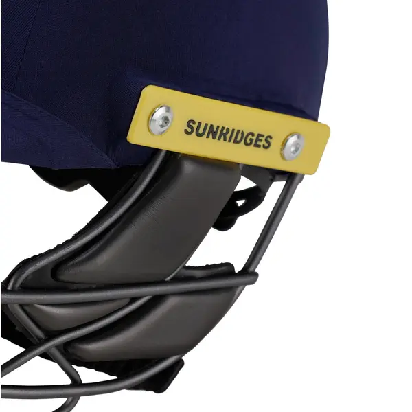 SS Players With Titanium Grill cricket helmets