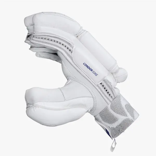 DSC Condor Edge Cricket Batting Gloves Side