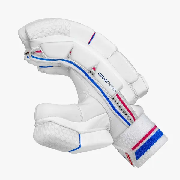 DSC Intense Passion Cricket Batting Gloves Side