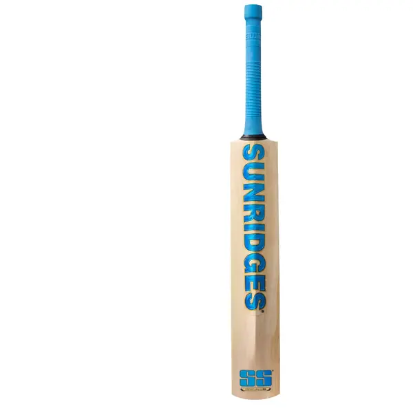 SS Vintage Bolt Kashmir Willow Cricket Bat back