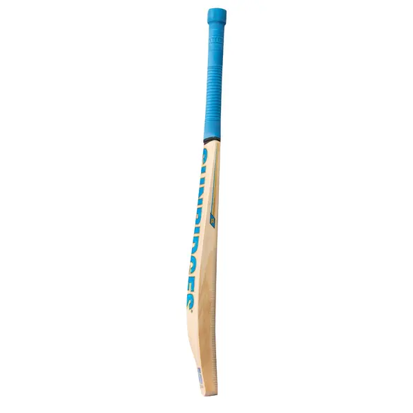 SS Vintage Bolt Kashmir Willow Cricket Bat side