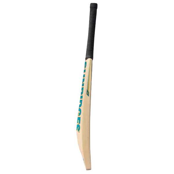 SS Vintage Jumbo Kashmir Willow Cricket Bat side