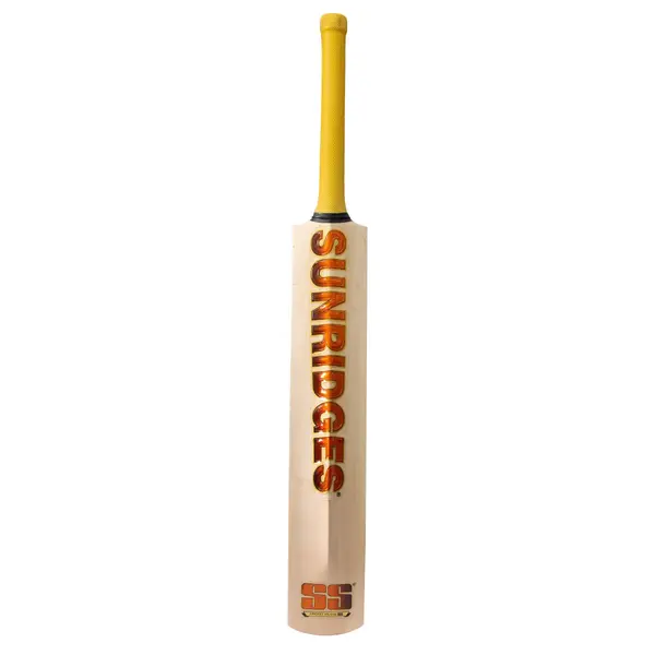 SS Vintage Rapier Kashmir Willow Cricket Bat back