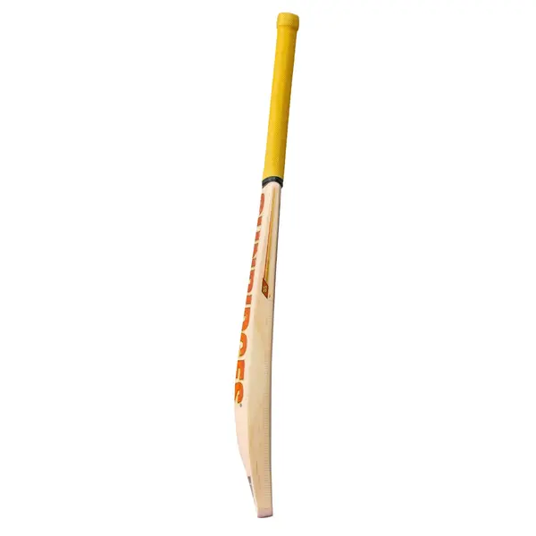 SS Vintage Rapier Kashmir Willow Cricket Bat side