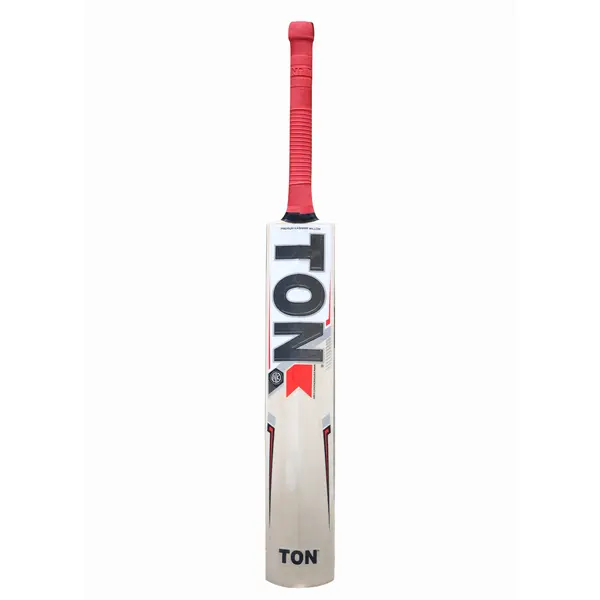 SS Ton Revolution Kashmir Willow Cricket Bat front